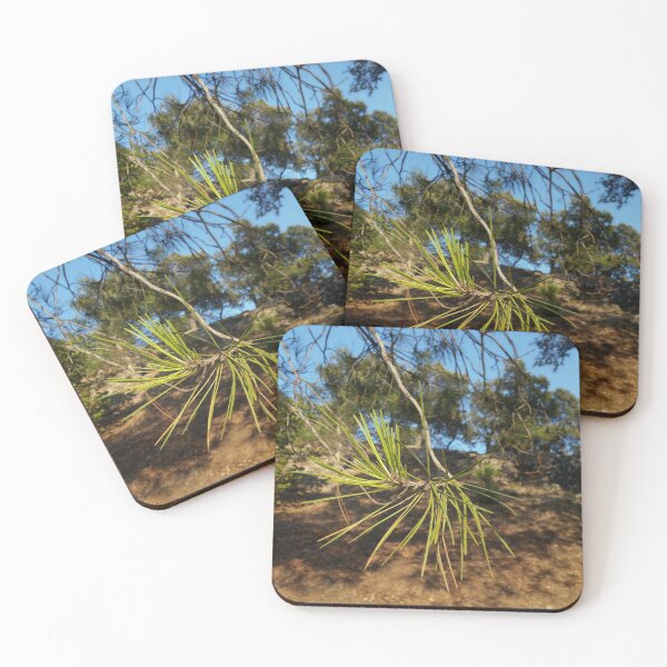 Item preview, Fir needles in the Provence in the South of France. designed and sold by Robert Elfferich.