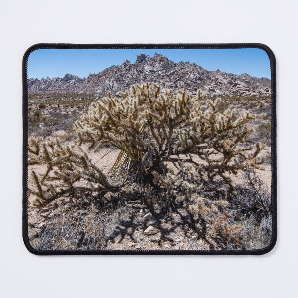 Item preview, Silver Cholla Under Granite Peak designed and sold by thatche2.