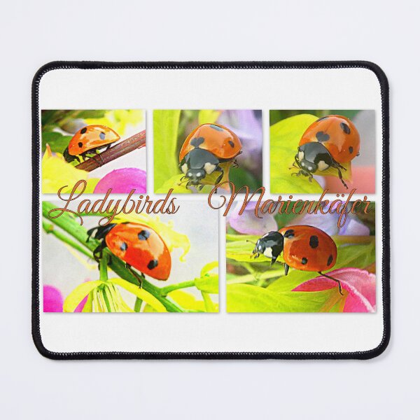 Item preview, Ladybirds Marienkäfer designed and sold by angel1.