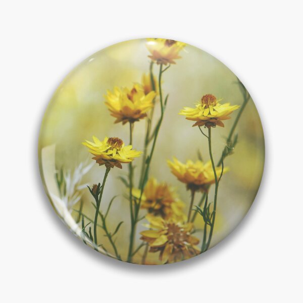 Item preview, Australian Wildflowers - Golden Everlasting Daisies designed and sold by Cloudlingpics.