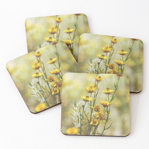 Item preview, Australian Wildflowers - Golden Everlasting Daisies designed and sold by Cloudlingpics.