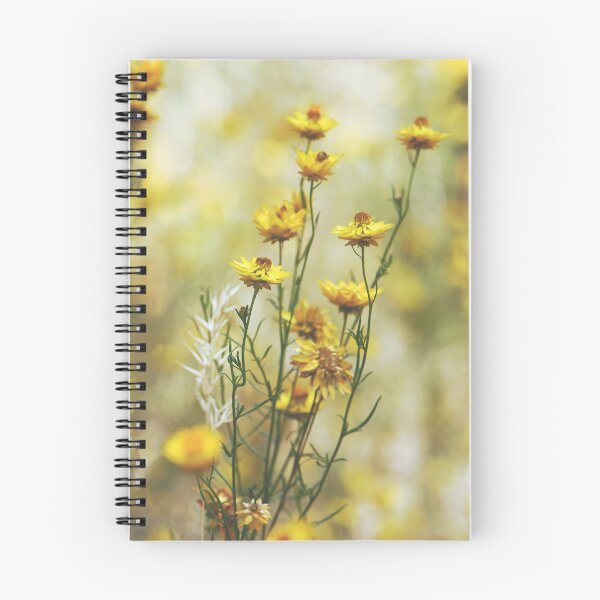 Item preview, Australian Wildflowers - Golden Everlasting Daisies designed and sold by Cloudlingpics.