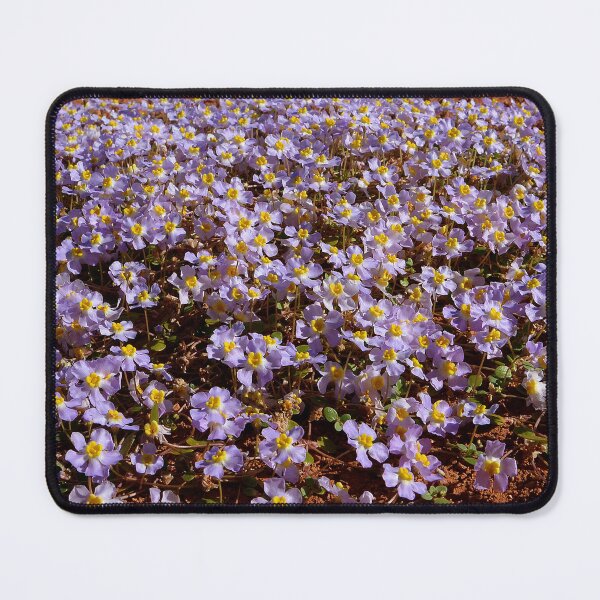 Item preview, pink creeper in the Pilbara designed and sold by Schoensl.