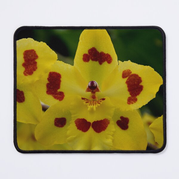 Item preview, Oncidium Orchid yellow with red dots  designed and sold by Schoensl.