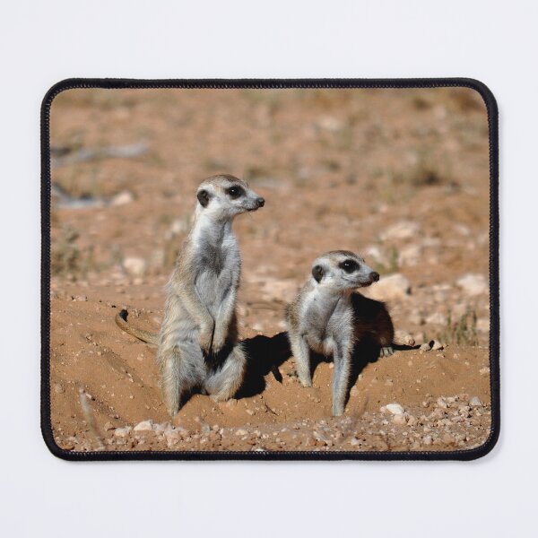 Item preview, meerkat or suricate designed and sold by Schoensl.