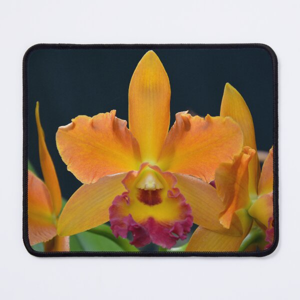 Item preview, yellow-orange Cymbidium Orchid designed and sold by Schoensl.