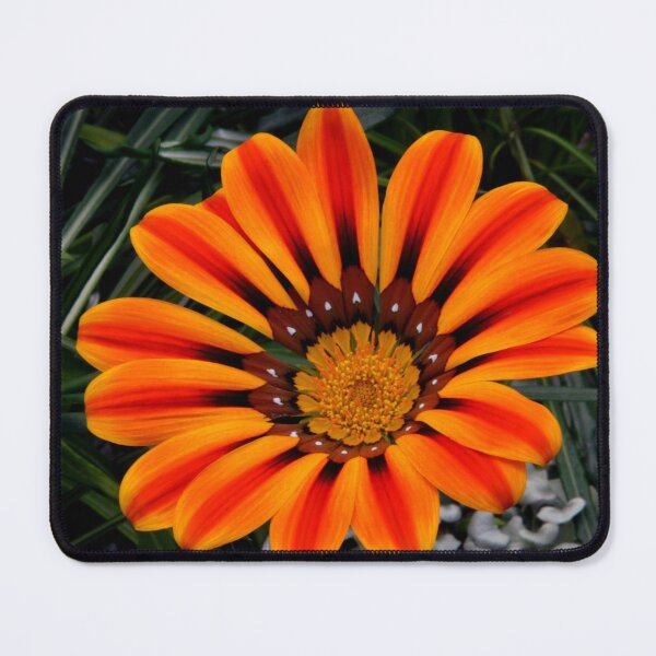 Item preview, Red striped Daisy, Gazania designed and sold by Schoensl.