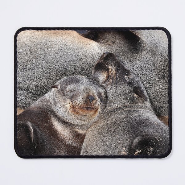 Item preview, Cape Fur Seals, Namibia designed and sold by Schoensl.