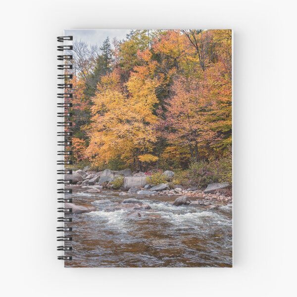 Artikelvorschau, Laub Creek entworfen und verkauft von Roger Porter Photography.