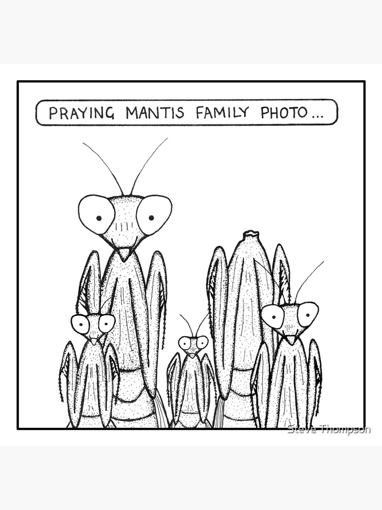 Praying Mantis family photo by stevet3214