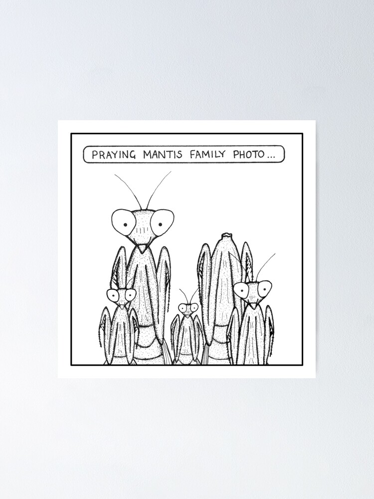 Alternate view of Praying Mantis family photo Poster
