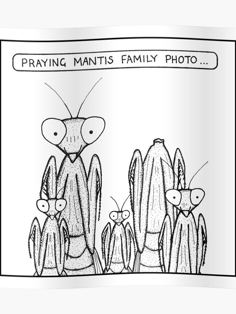 Mantis Size Chart