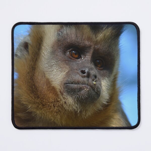Item preview, Monkey portrait Brazil designed and sold by Schoensl.
