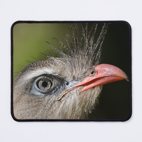 Item preview, bird bustard portrait designed and sold by Schoensl.