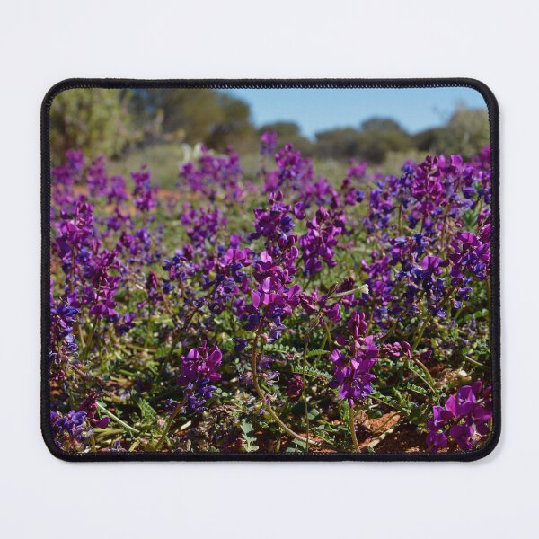 Item preview, Dampier Pea Swainsona Pterostylis designed and sold by Schoensl.