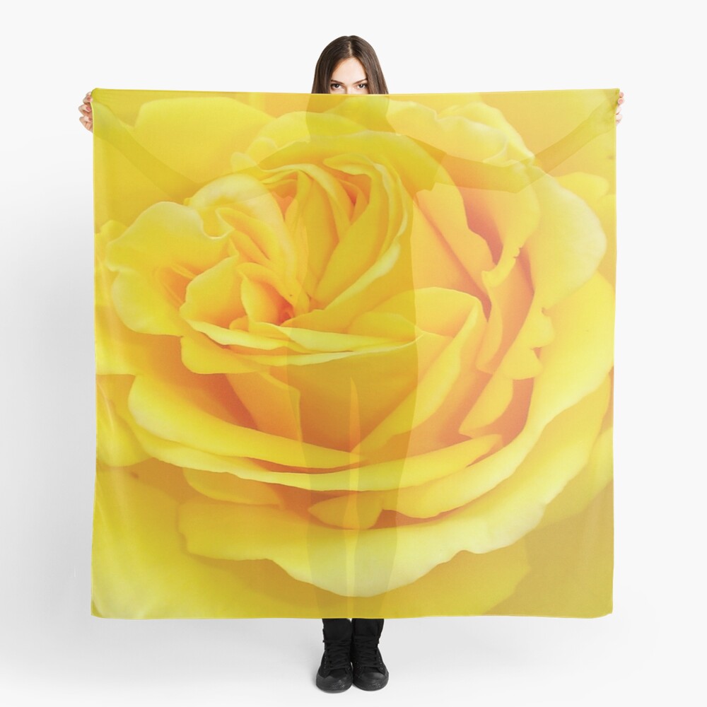 Beautiful Yellow Rose Closeup Photograph Scarf
