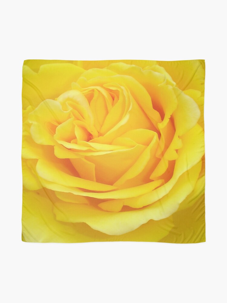 Alternate view of Beautiful Yellow Rose Closeup Photograph Scarf