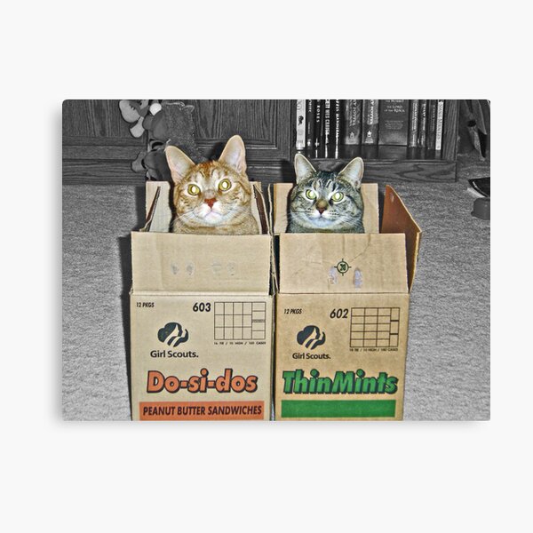 Free Shipping Canvas Prints | Redbubble