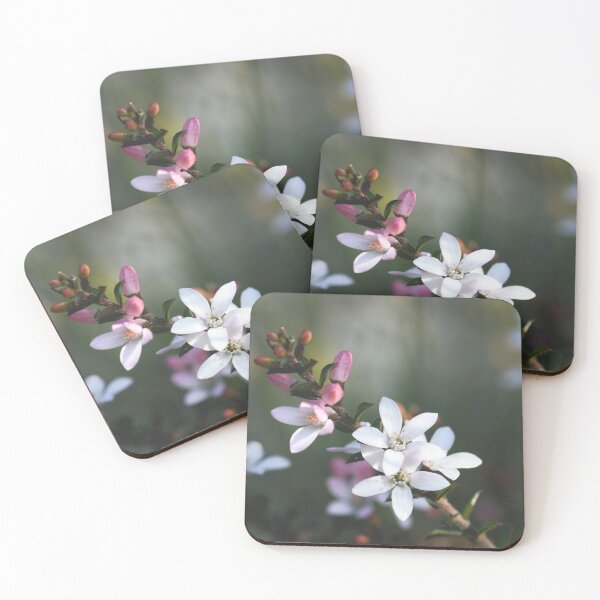 Item preview, Australian Flora - Box Leaf Waxflower designed and sold by Cloudlingpics.