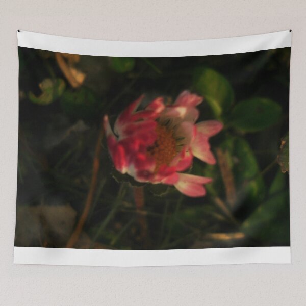 Item preview.