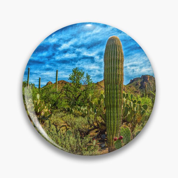 Artikelvorschau, Saguaro National Park entworfen und verkauft von GestaltImagery.