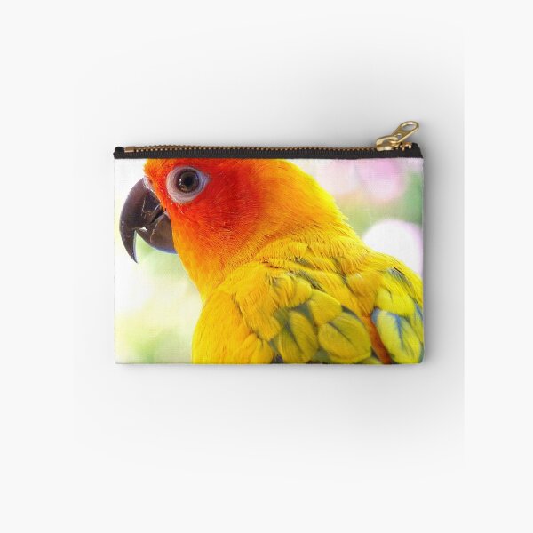 Item preview, Surly! Not another Photo! - Sun Conure - NZ designed and sold by AndreaEL.