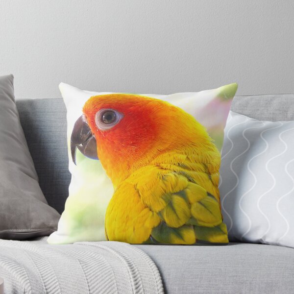 Item preview, Surly! Not another Photo! - Sun Conure - NZ designed and sold by AndreaEL.