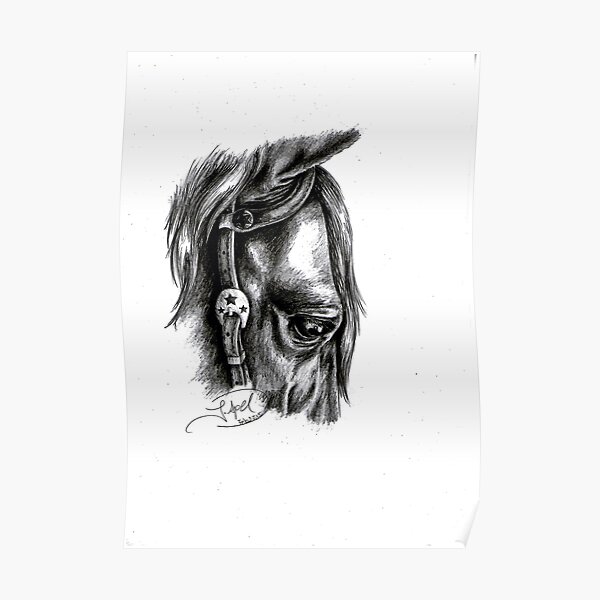 "Calm" - American Quarter Horse, Graphite Poster
