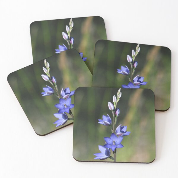 Item preview, Australian Flora - Spotted Sun Orchid designed and sold by Cloudlingpics.