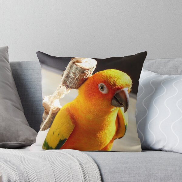 Item preview, I'm Backpacking On The "Cheep"!!!- Sunconure - NZ designed and sold by AndreaEL.