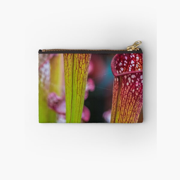 Item preview, Zantedeschia Volcano designed and sold by Alius Imago.