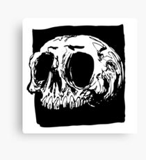 Death Canvas Print