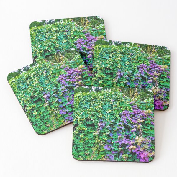 Item preview, #165 |☼| Walleaves - Shot 1 (Elsham Hall, Gardens & Country Park) designed and sold by Naean H.F. (Nez Man).