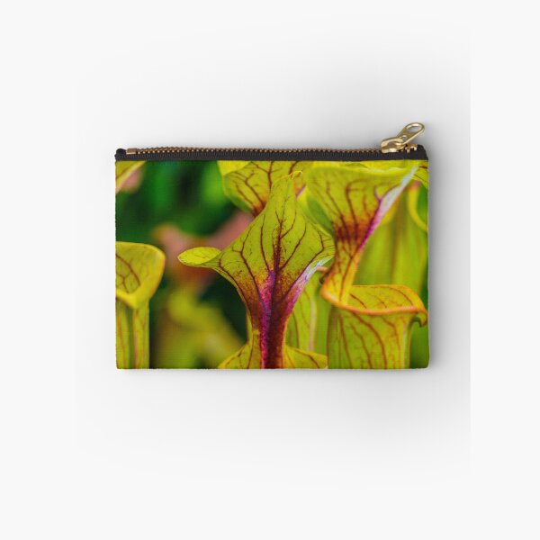 Item preview, Zantedeschia Lime Uplift designed and sold by Alius Imago.