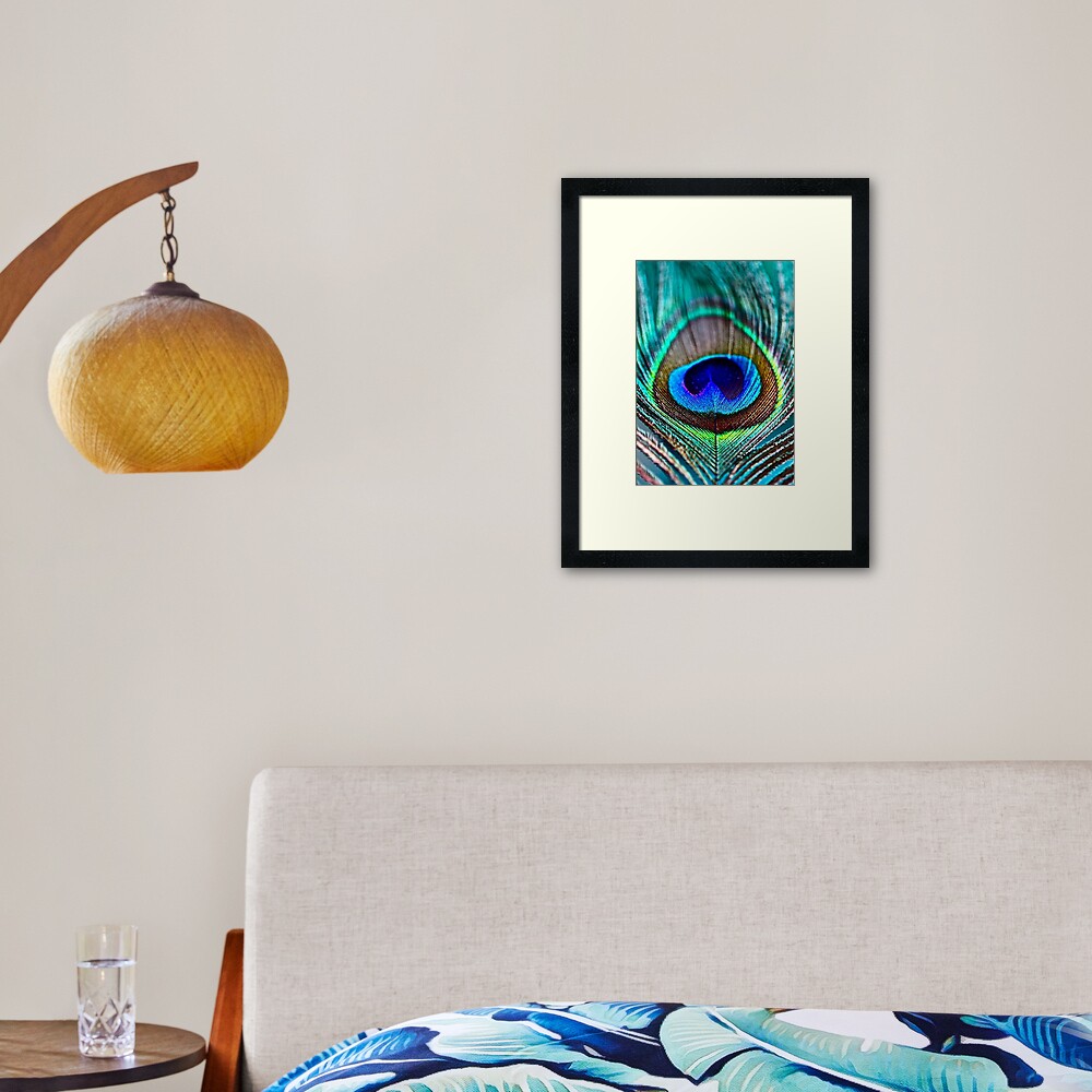 Peacock Feather Framed Art Print