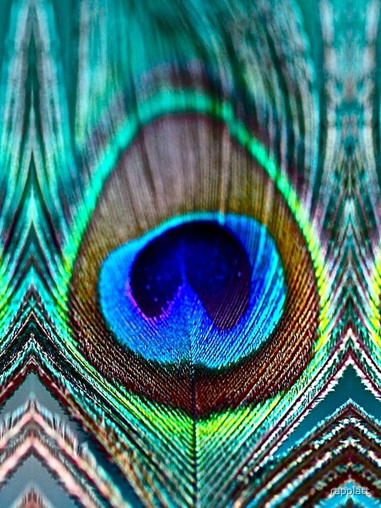 Peacock Feather by rapplatt