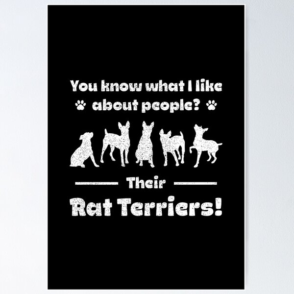 Item preview, Professional Rat Terrier Groomer designed and sold by More Cute Dogs.