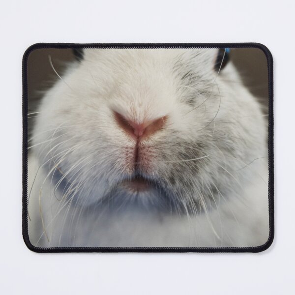 Item preview, Molly with the cute snoot 2 designed and sold by Kaninchenfront.