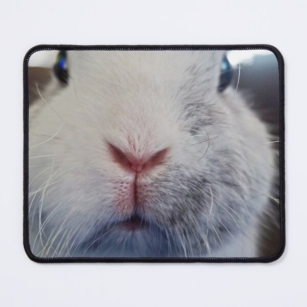 Item preview, Molly with the cute snoot designed and sold by Kaninchenfront.