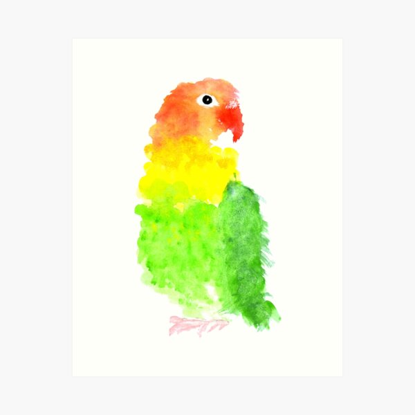 Polly want a Cracker Art Print