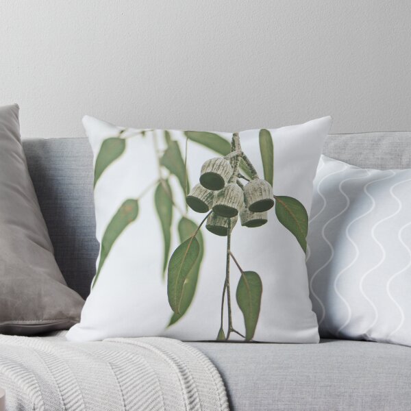 Item preview, Australian Flora - Eucalyptus Gum Nuts designed and sold by Cloudlingpics.