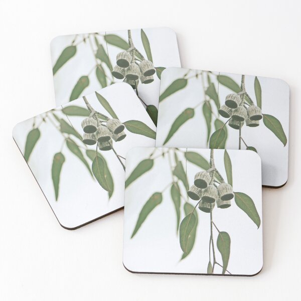 Item preview, Australian Flora - Eucalyptus Gum Nuts designed and sold by Cloudlingpics.