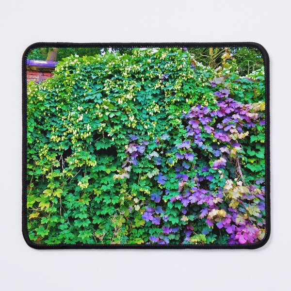 Item preview, #165 |☼| Walleaves - Shot 1 (Elsham Hall, Gardens & Country Park) designed and sold by Naean H.F. (Nez Man).
