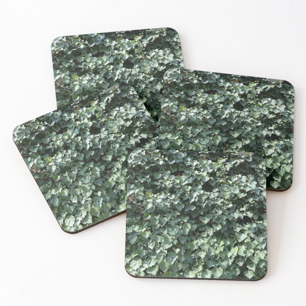 Item preview, Ivy Leafs designed and sold by boomantique.
