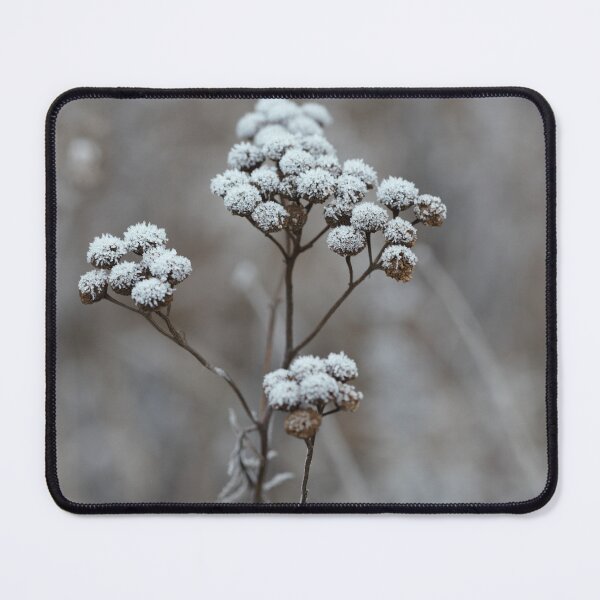 Item preview, A flower covered with frost designed and sold by FairyOfCherries.