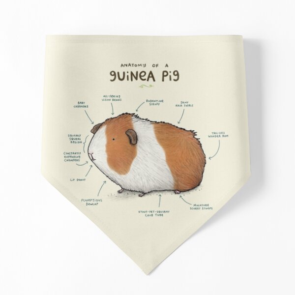 Guinea hotsell pig bandana