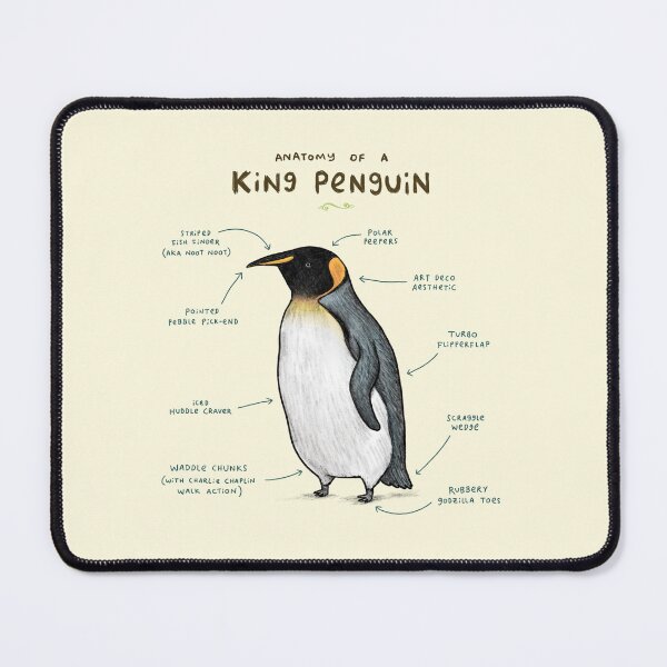Item preview, Anatomy of a King Penguin designed and sold by SophieCorrigan.