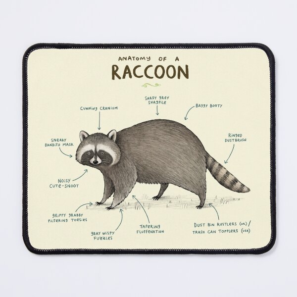 Item preview, Anatomy of a Raccoon designed and sold by SophieCorrigan.