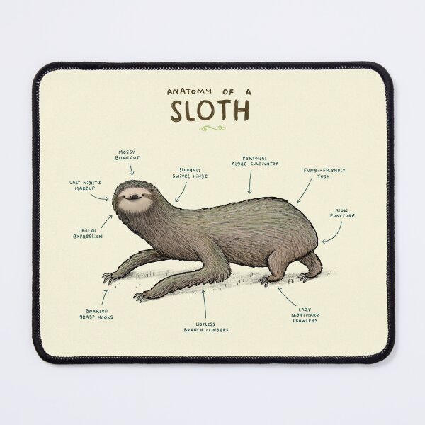 Item preview, Anatomy of a Sloth designed and sold by SophieCorrigan.