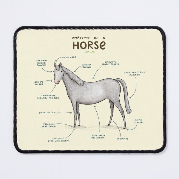 Item preview, Anatomy of a Horse designed and sold by SophieCorrigan.